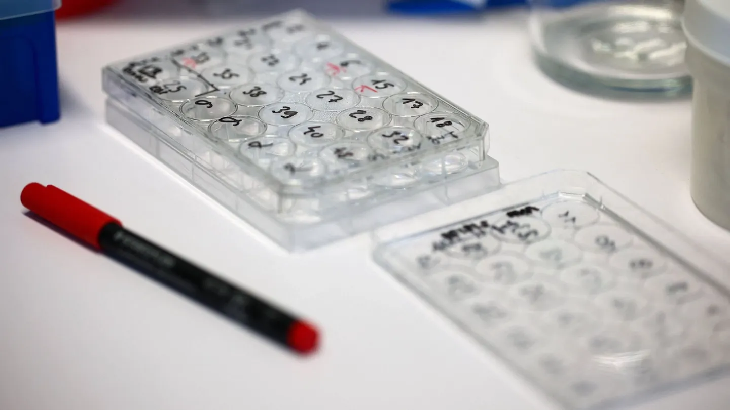 تعطیلی و غیرحضوری شدن مدارس در چند استان ایران به دلیل آلودگی هوا و شیوع آنفلوانزا