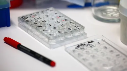 تعطیلی و غیرحضوری شدن مدارس در چند استان ایران به دلیل آلودگی هوا و شیوع آنفلوانزا