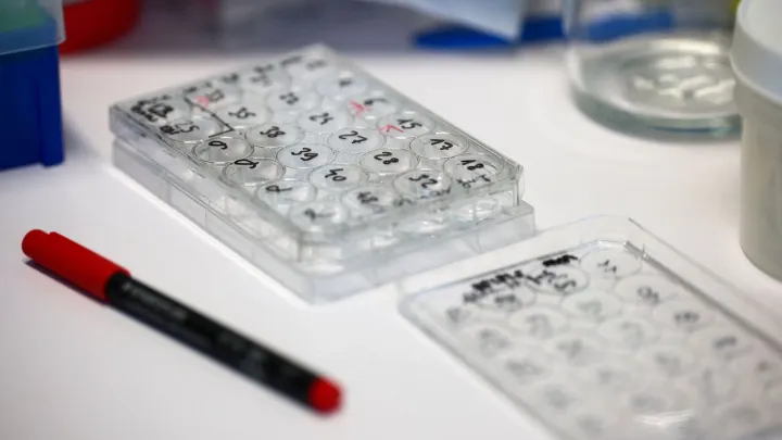 تعطیلی و غیرحضوری شدن مدارس در چند استان ایران به دلیل آلودگی هوا و شیوع آنفلوانزا