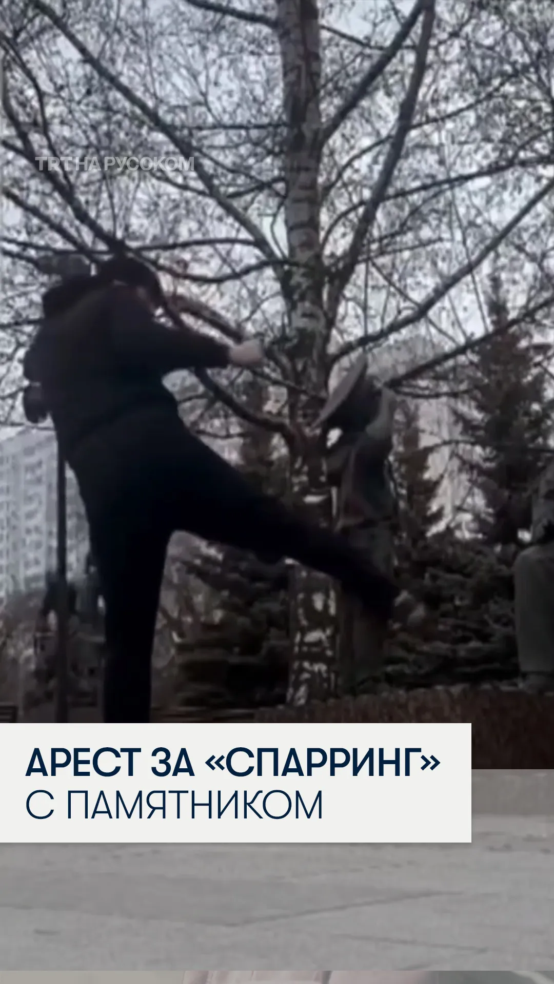 В Москве отправили под стражу бойца ММА за «спарринг» с памятником МЧС