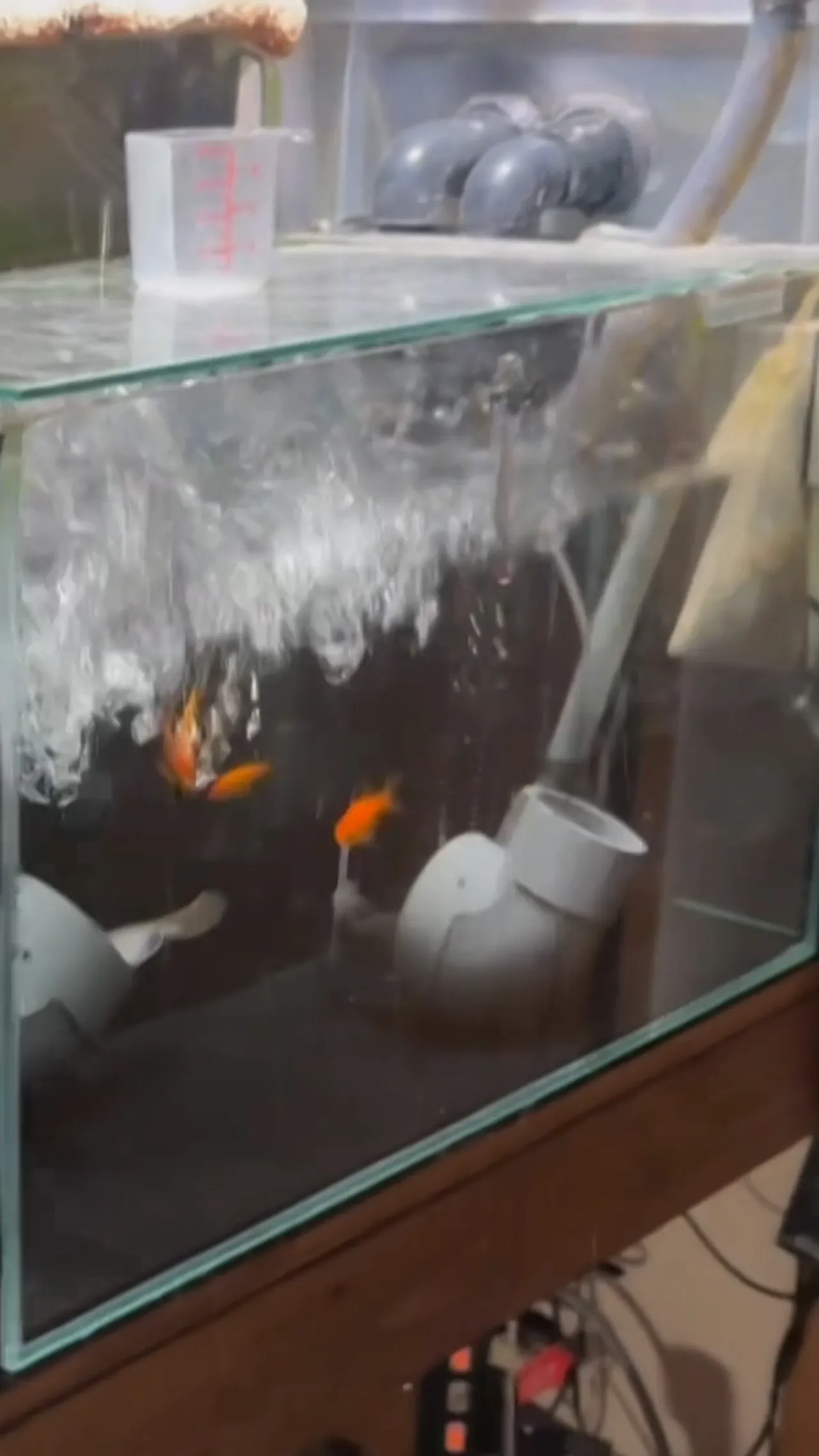 Gempa 7,6 magnitudo guncang laut utara Jepang, warga diminta waspada tsunami