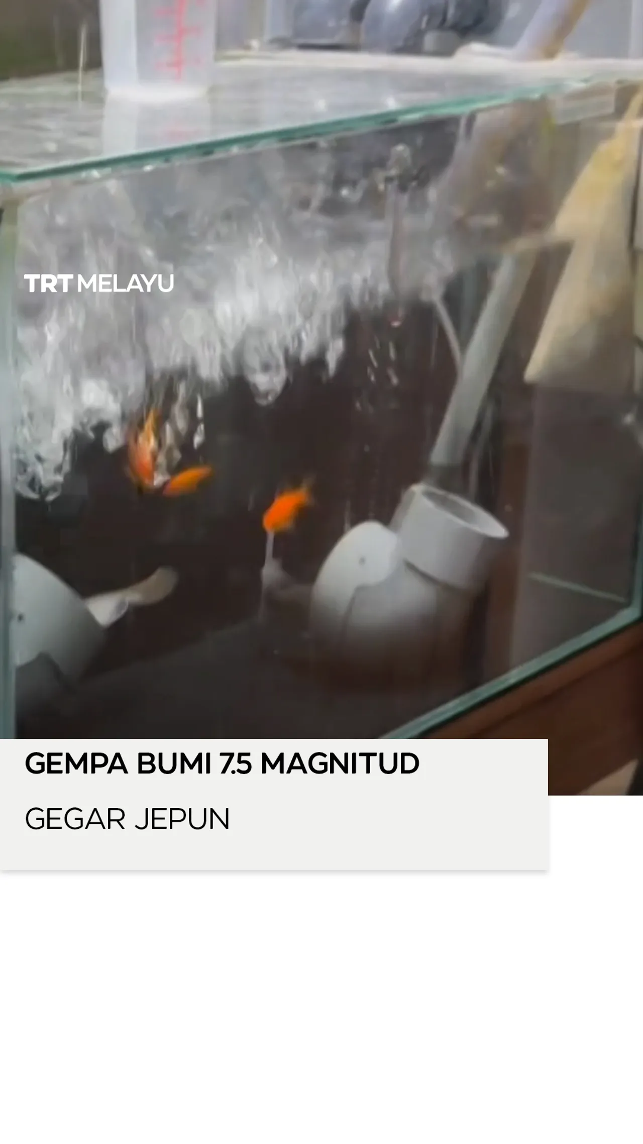 Gempa bumi 7.5 magnitud gegar timur laut Jepun