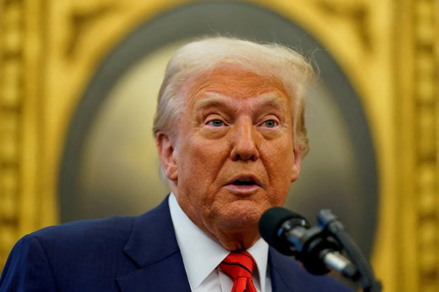 사우디 관리 "이스라엘인들을 알래스카, 그린란드로 보내라" 트럼프 가자 계획 비판