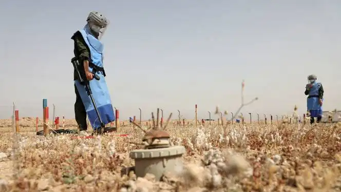 Fra Kambodsja til Colombia, frysing av amerikansk bistand stopper fjerning av landminer