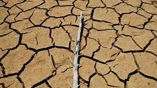 보고서: 기후 위기에 대한 세계적 협력을 방해하는 부패