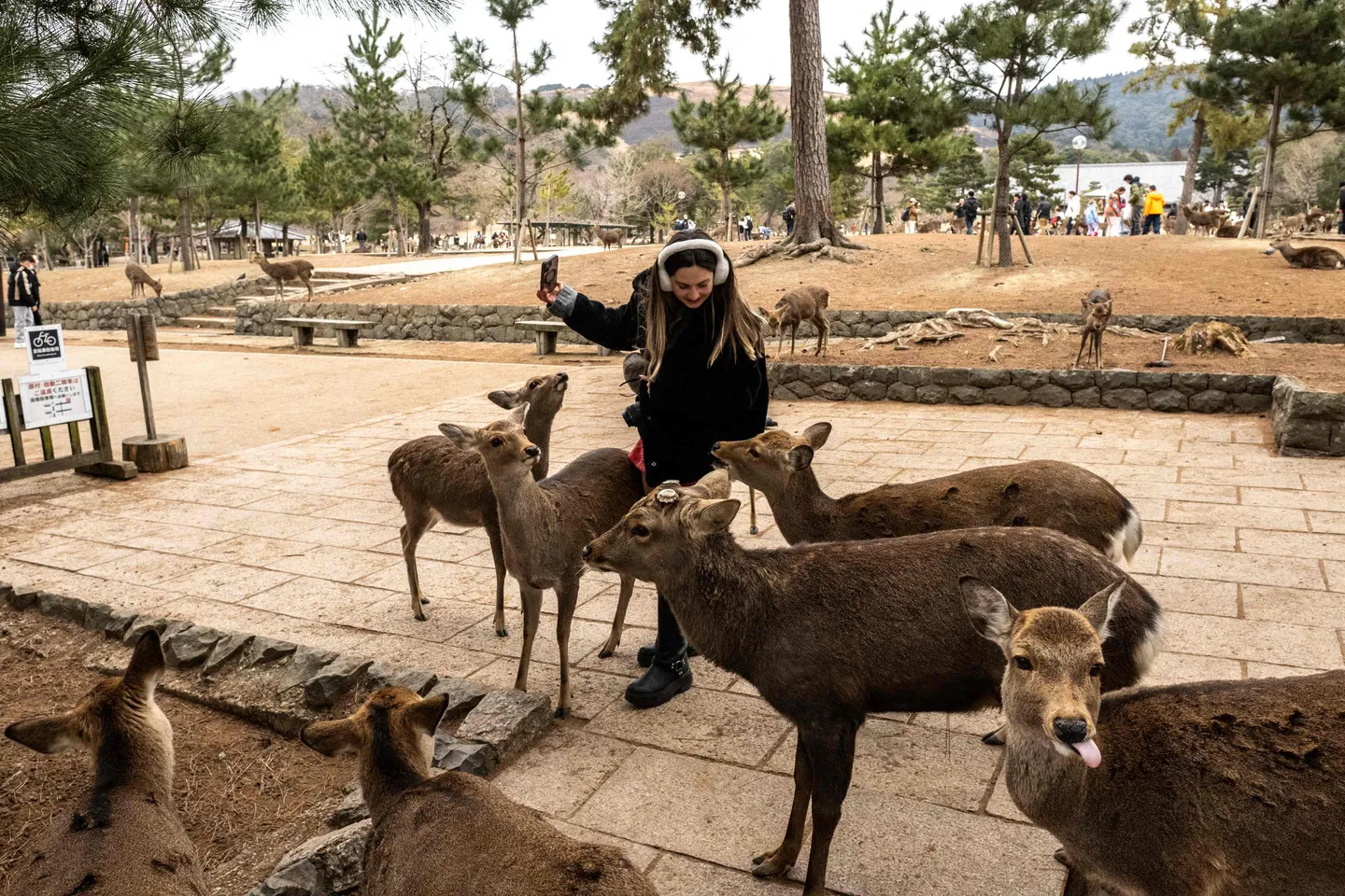 ユネスコ世界遺産が悲鳴：日本各地で進む「オーバーツーリズム」問題