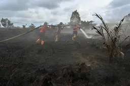 Gli incendi boschivi devastano il sud-est dell'Australia
