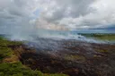 El Nino moderat picu kebakaran 81.000 hektare lahan di Indonesia