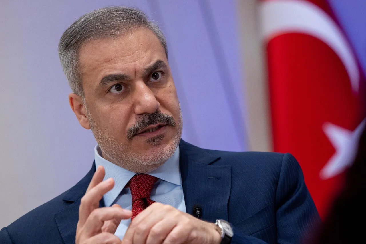 土耳其正成为地缘政治变化中的关键参与者,菲丹表示