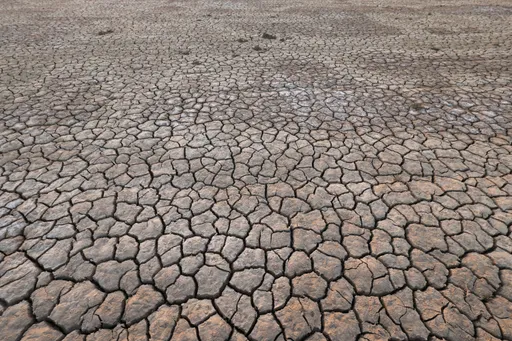 فناوری نوین ترکمنستان؛ مبارزه با بیابان‌زایی با استفاده از جلبک‌های سبز-آبی