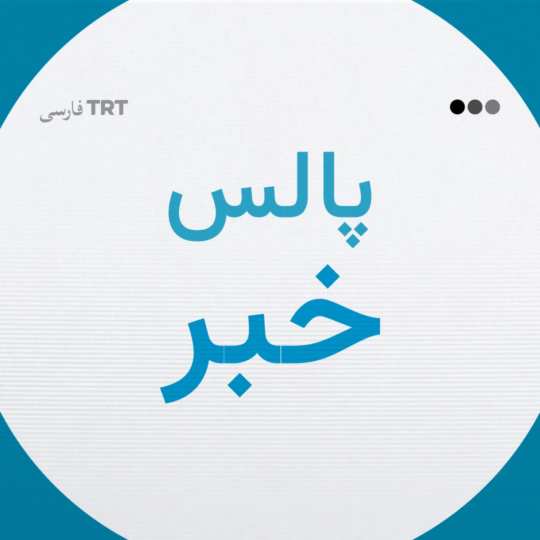 پالس خبر | ۲۸ نوامبر