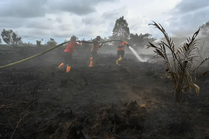 Gli incendi boschivi devastano il sud-est dell'Australia
