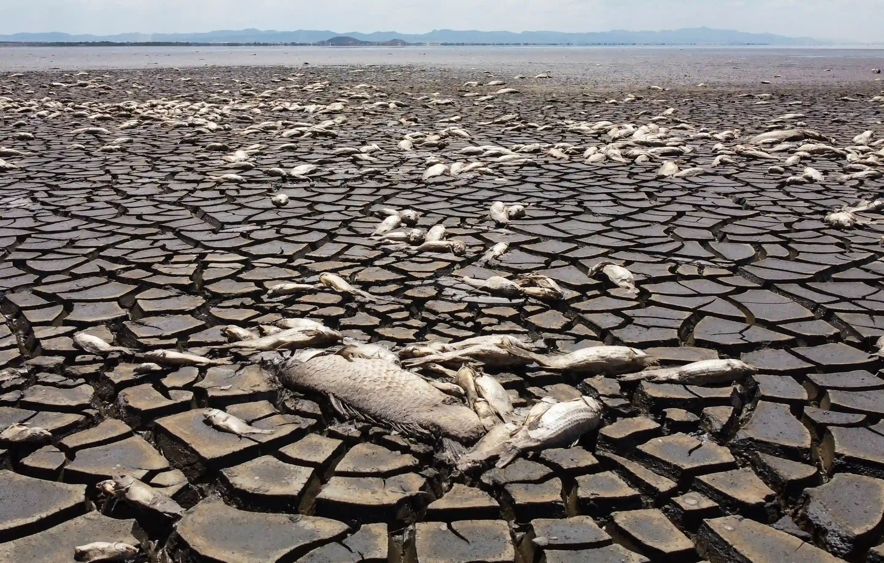 Riscaldamento globale: Un punto di svolta per l'umanità e il pianeta