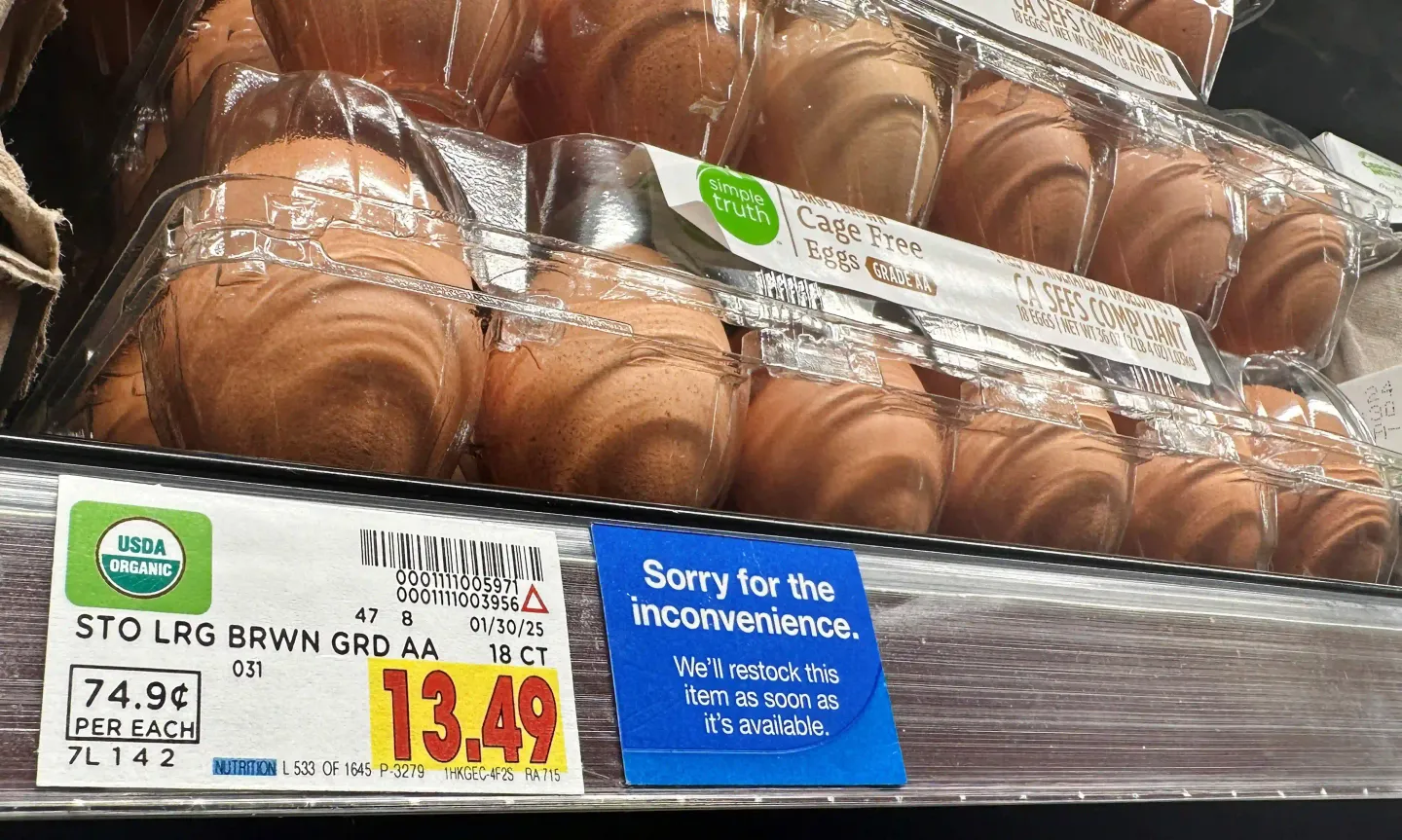 Eggpocalypse — Why are egg prices soaring in US?
