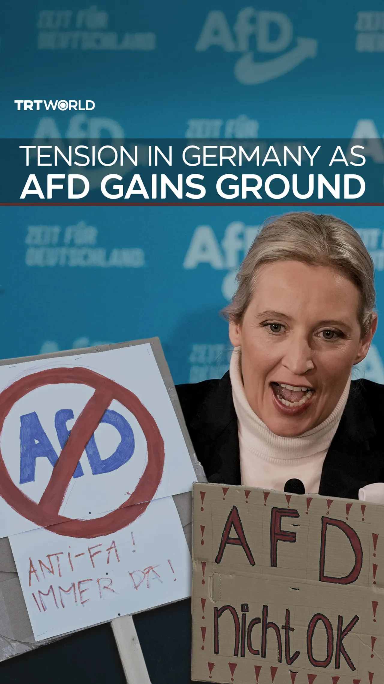 Tension in Germany as AfD gains ground