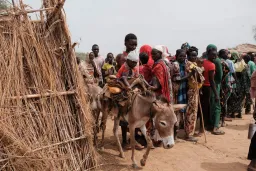Sudan paramilitary attacks kill almost 300 in stronghold - activists