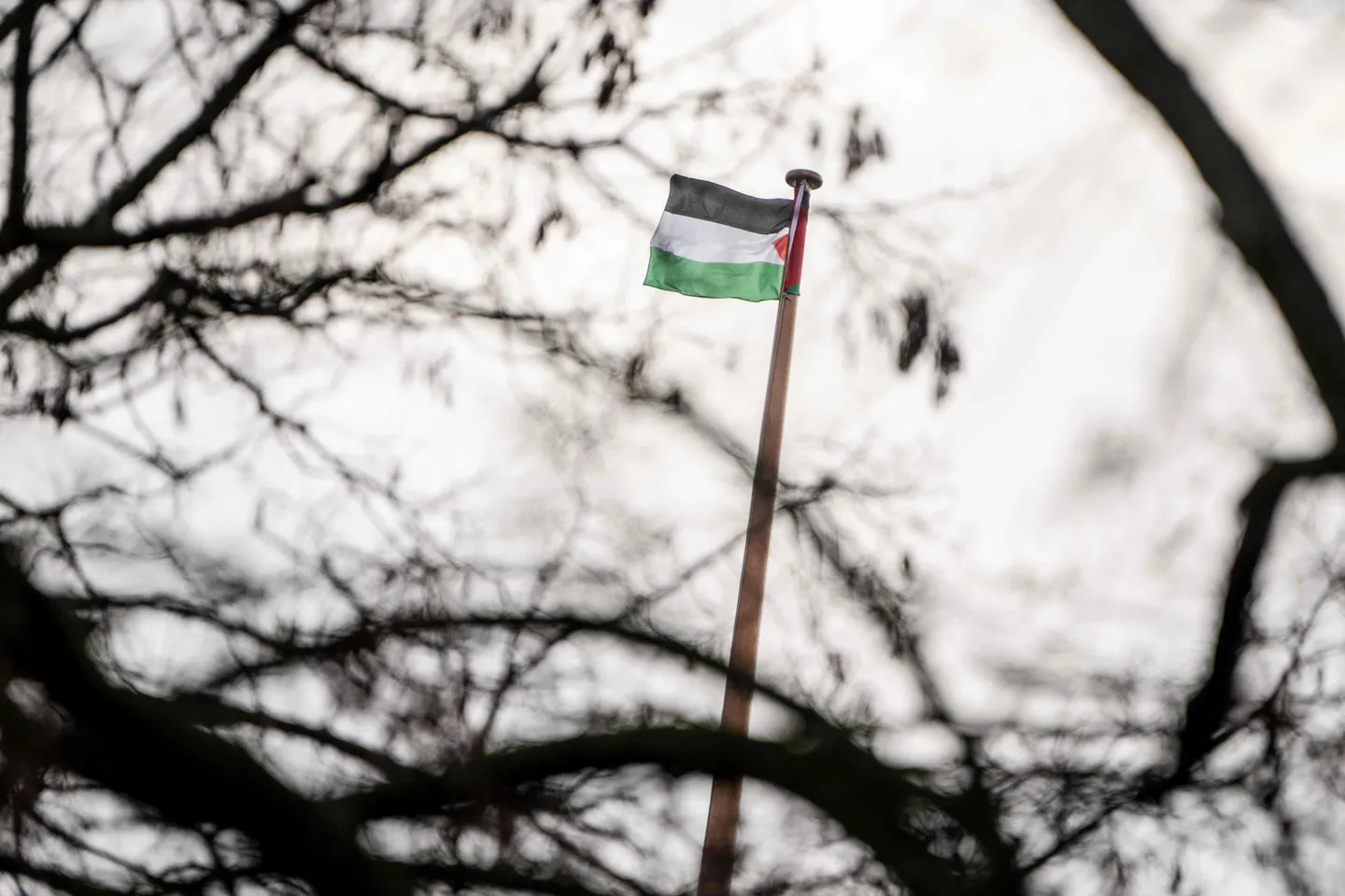 Kopenhagen: Stadtrat gibt grünes Licht für „Palästina-Platz“