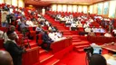 Electoral Act mata : Senate for Nigeria call emergency meeting as protest wan happun