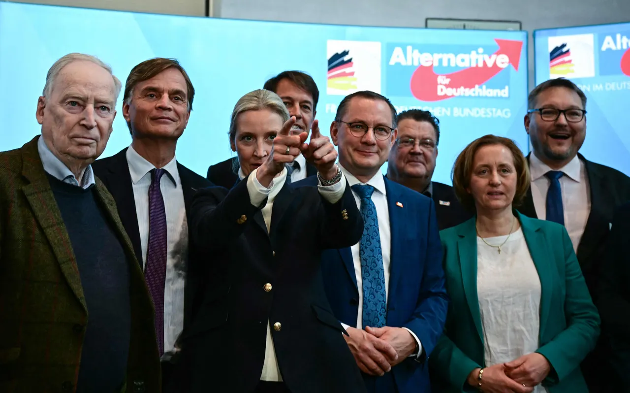 Wahlumfrage sieht AfD in MV bei 37 Prozent