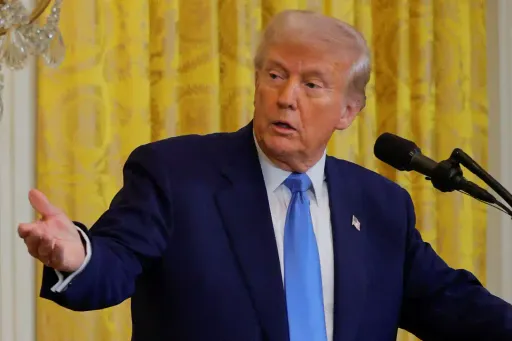 Guantanamo redux: erosion of legal norms in Trump’s immigration crackdown