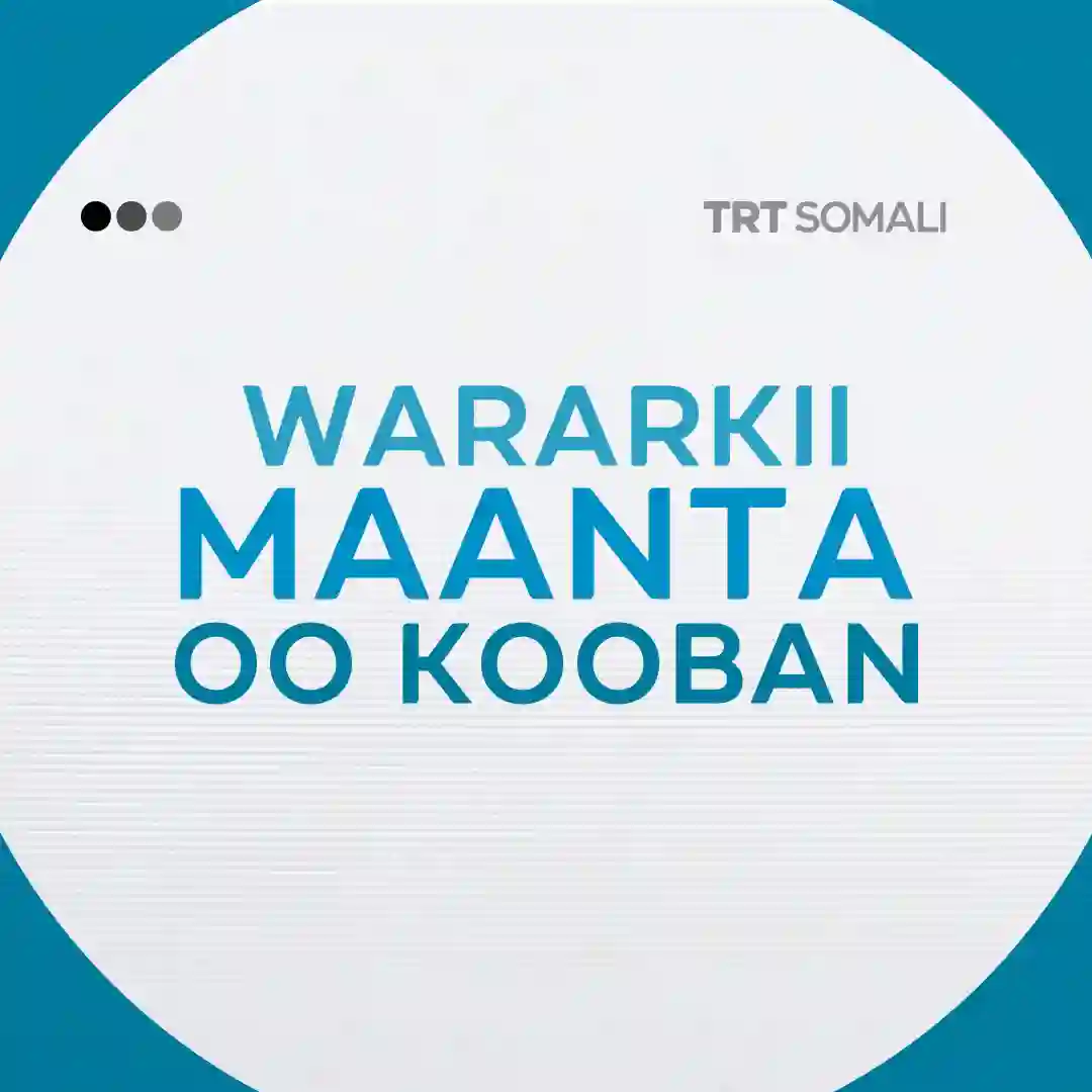 Wararkii maanta oo kooban