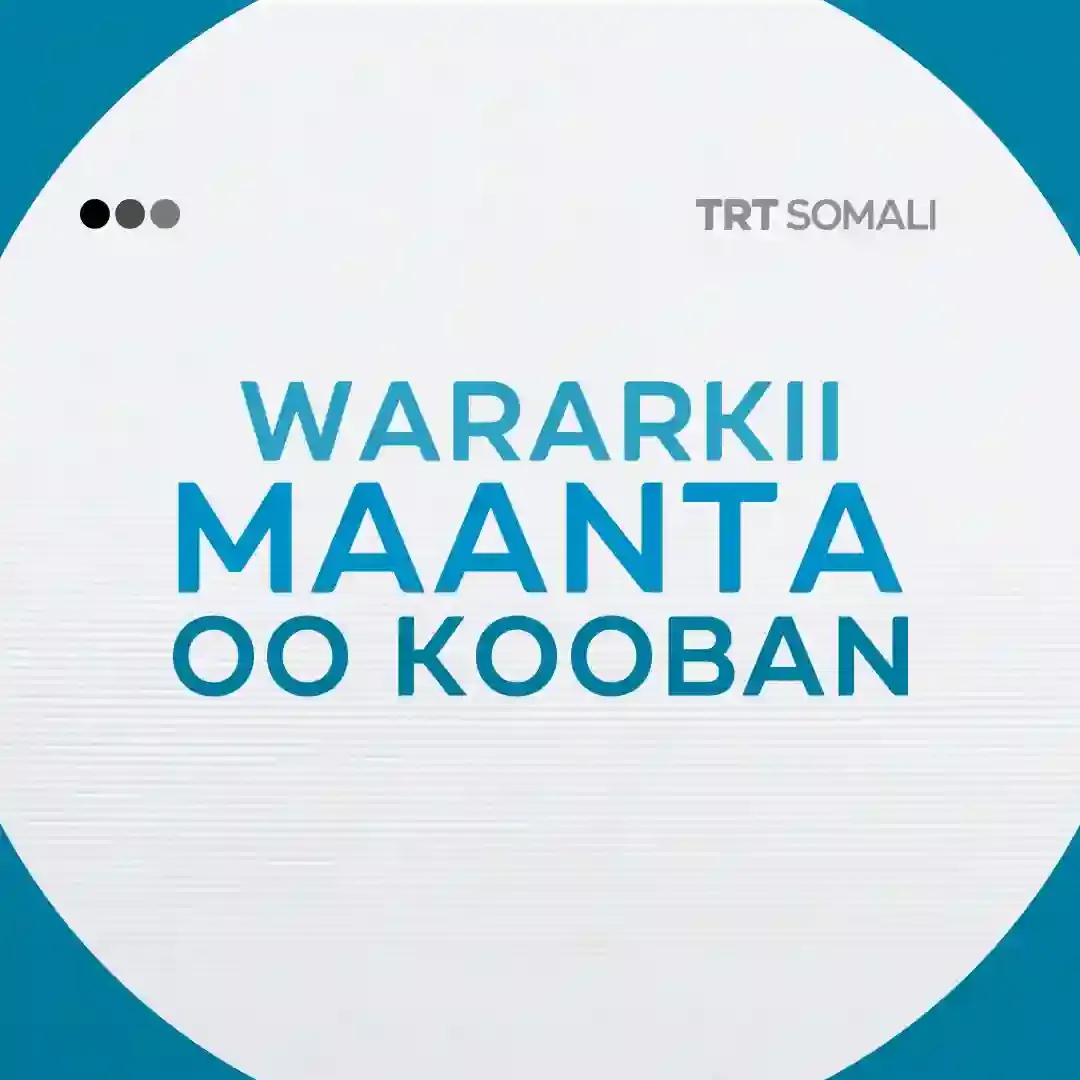 Wararkii maanta oo kooban 01-da Oktoobar 2025