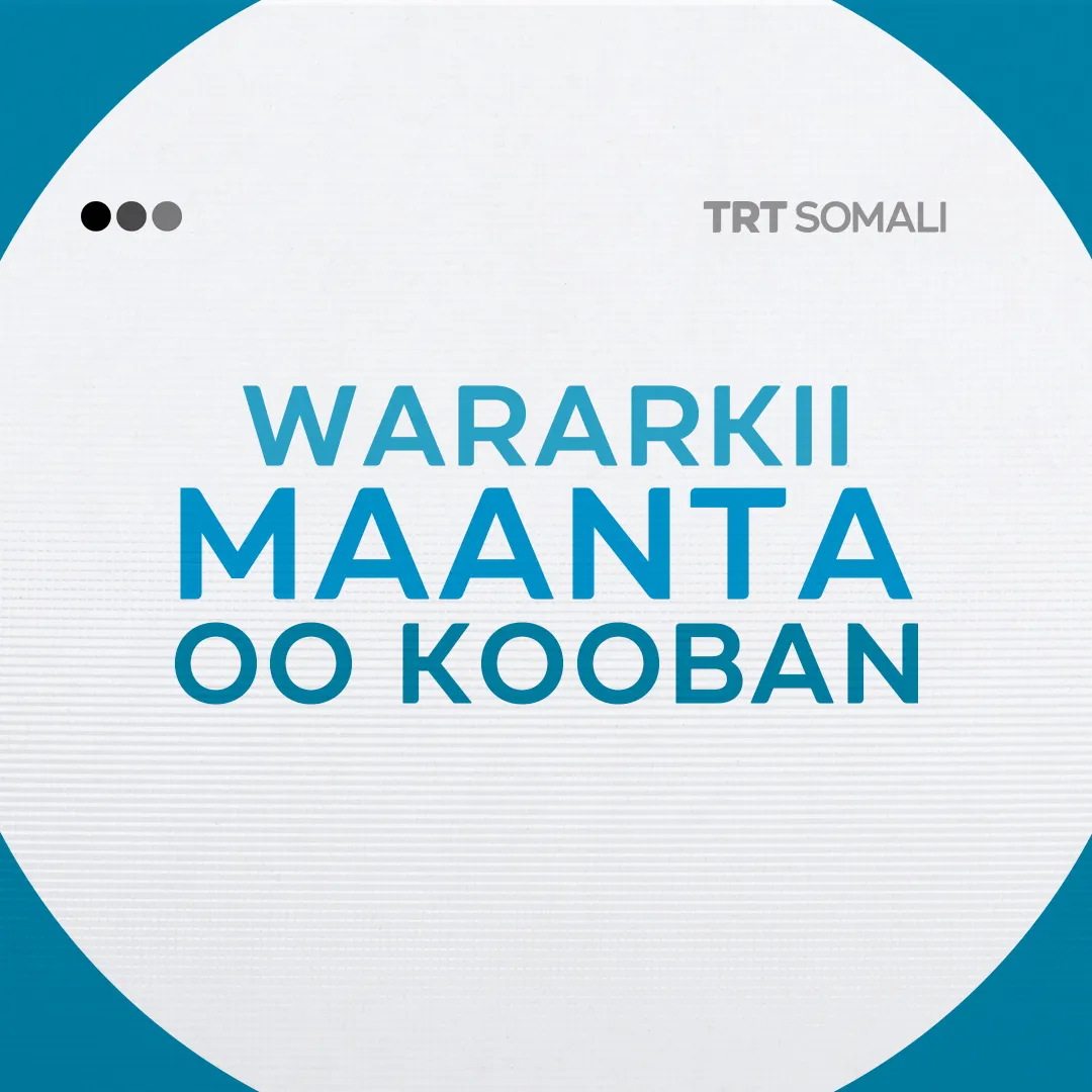 Wararkii maanta oo kooban 14-ka Nofembar 2025