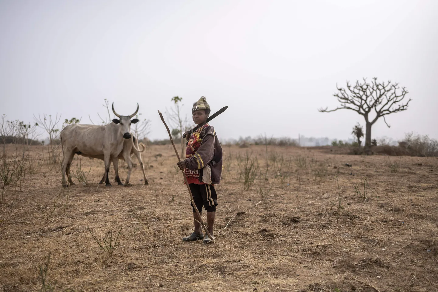 Kenyan herders dey struggle as climate wahala dey increase