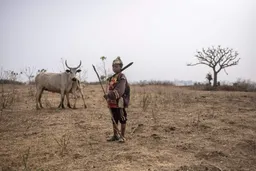 Comment les pasteurs kényans luttent pour préserver un mode de vie face à la crise climatique
