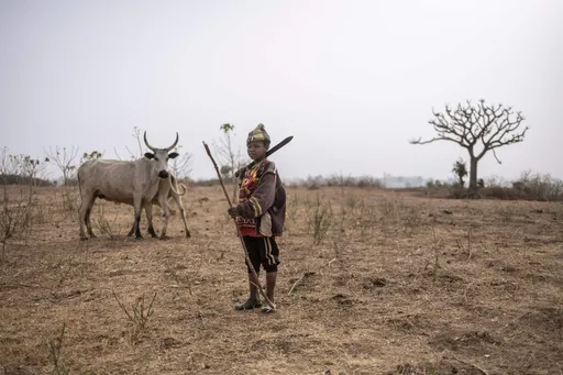 Kenyan herders dey struggle as climate wahala dey increase