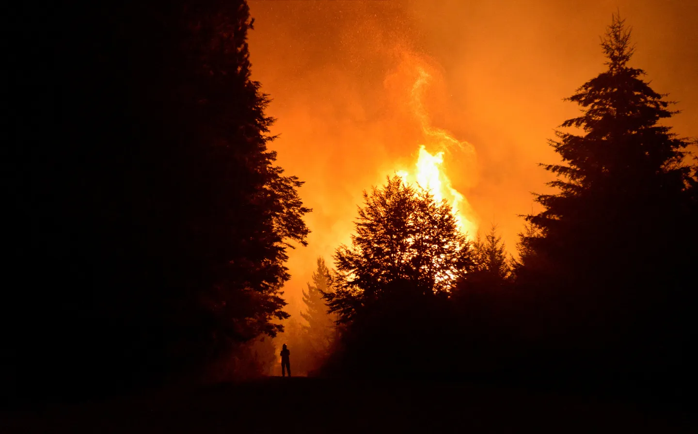 Wildfires engulf Argentina, prompting state of emergency