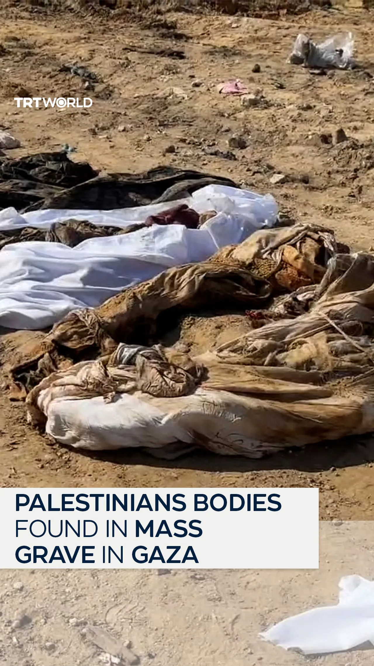 Bodies of 20 Palestinians, killed by Israeli forces, have been recovered in Gaza