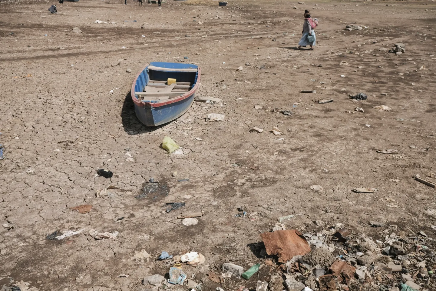 بیش از نیمی از تالاب هورالعظیم در ایران خشک شده است