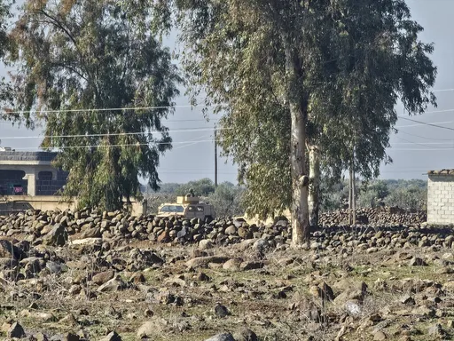 Pencerobohan Israel mempercepatkan kemusnahan hutan di Quneitra, jantung zon hijau Syria