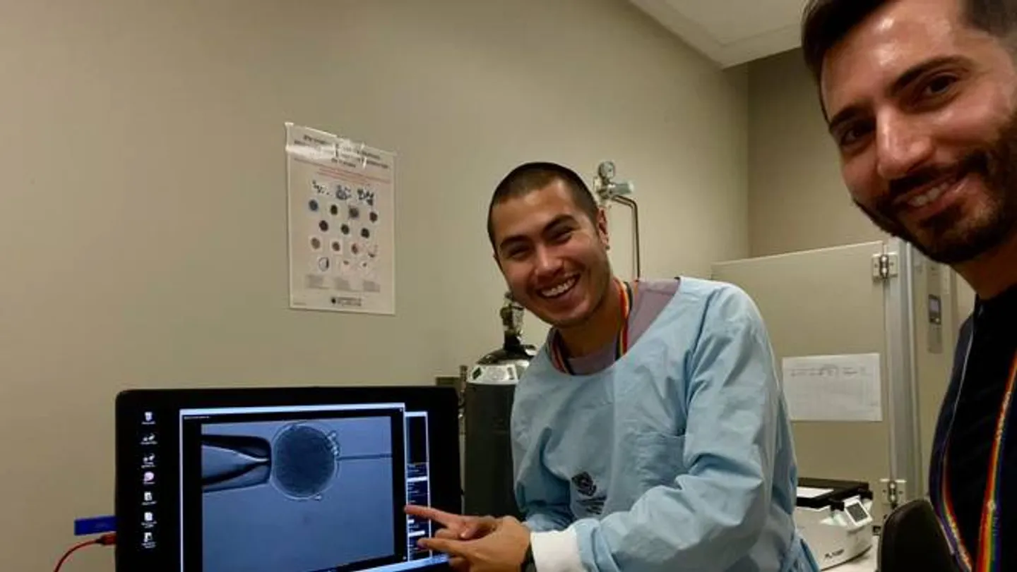 Para ilmuwan Australia menghasilkan embrio Kanguru pertama melalui IVF