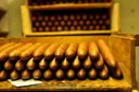 Cuba calls off cigar festival amid economic crisis