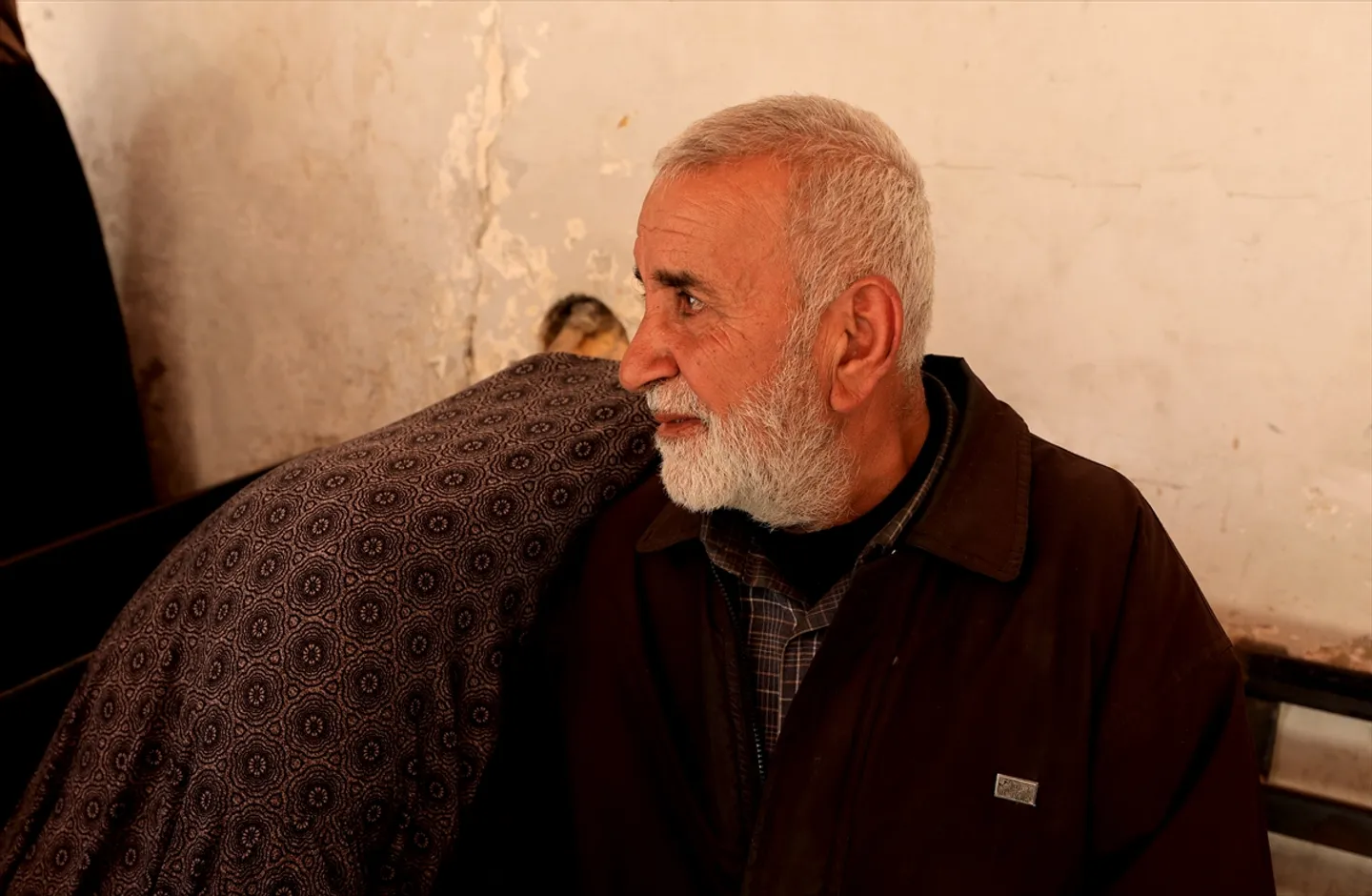 Israel killed at least 137 Palestinians in Gaza since truce: authorities