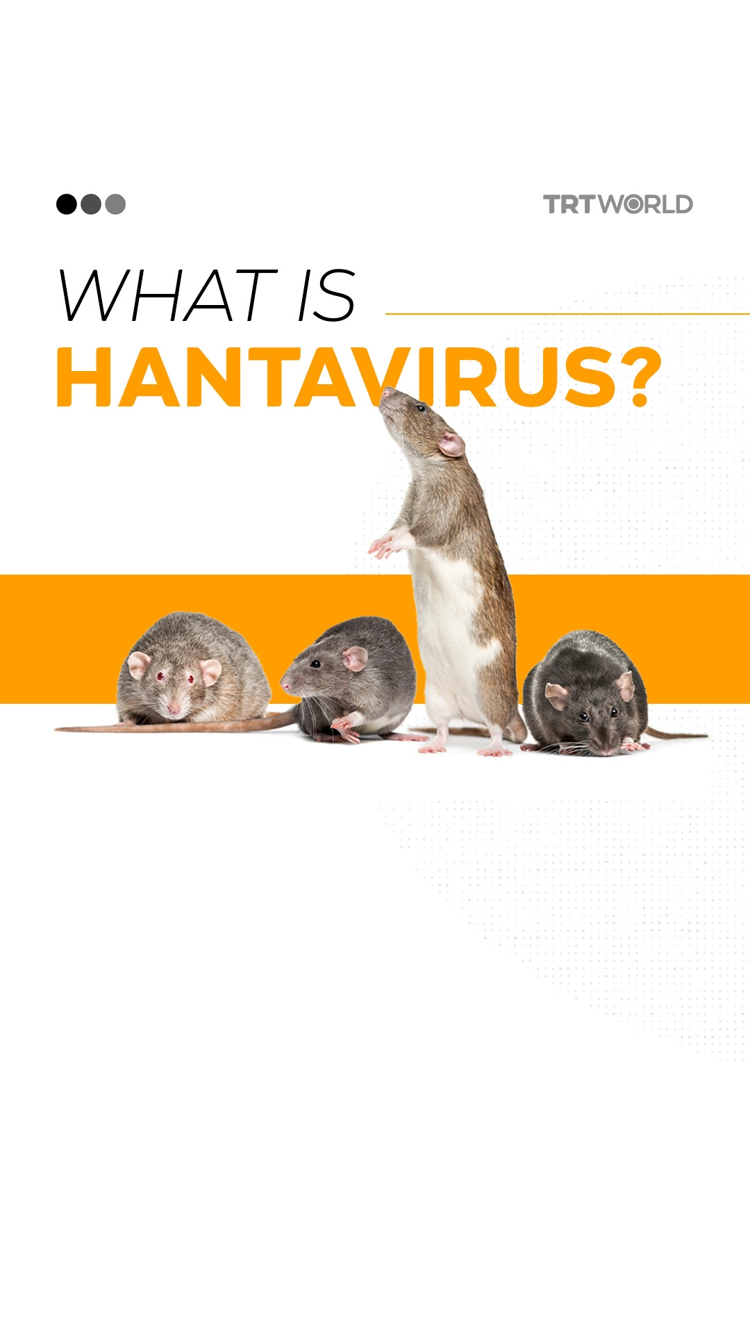 What is hantavirus?