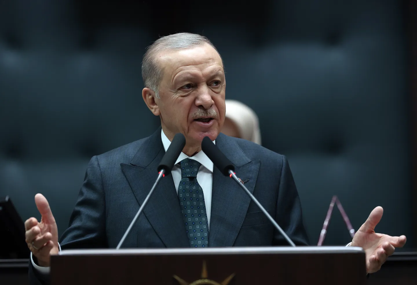 エルドアン大統領、「トルコは『平和外交』の中心地に」