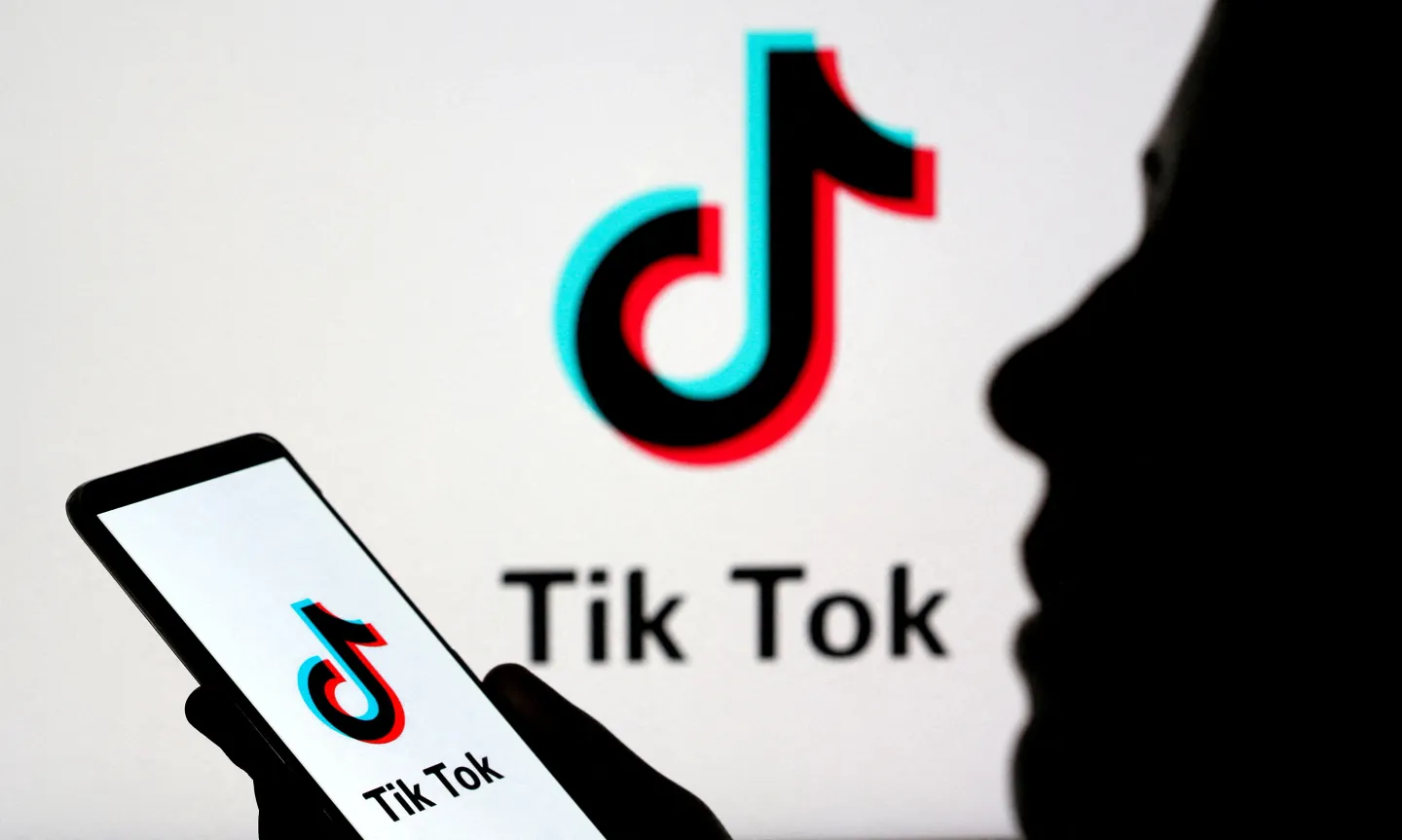 Ալբանիան TikTok-ին. Դուք արգելափակված ե՜ք