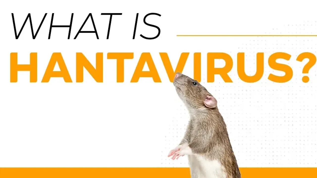 What is hantavirus?