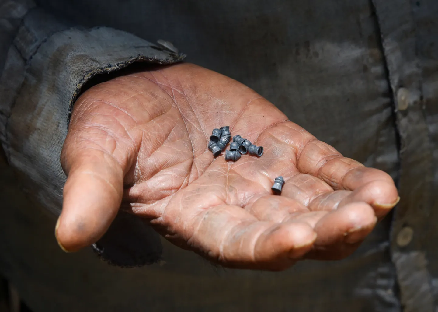 Hindistan yüzlərlə fermeri həbs etdi