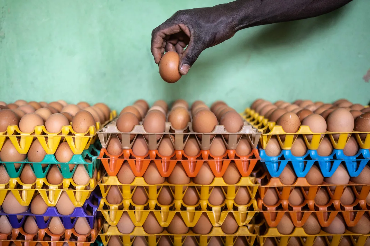 Nigeria dey woo investors, host UK trade mission