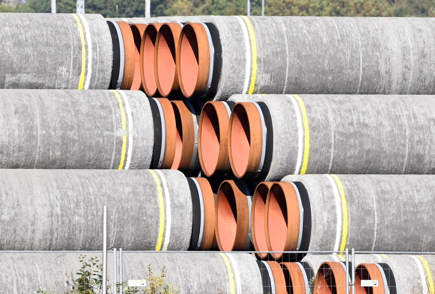 Reviving Nord Stream would be 'wrong' amid Ukraine war: Germany