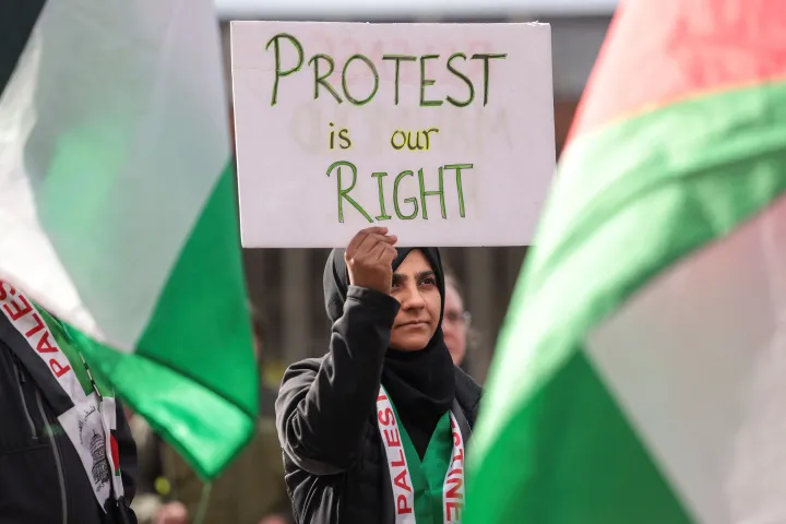 Is Trump’s mass deportation drive targeting those with pro-Palestinian views?