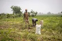 Wheat, fish dey top list as Nigeria spend $10 billion for imports yearly