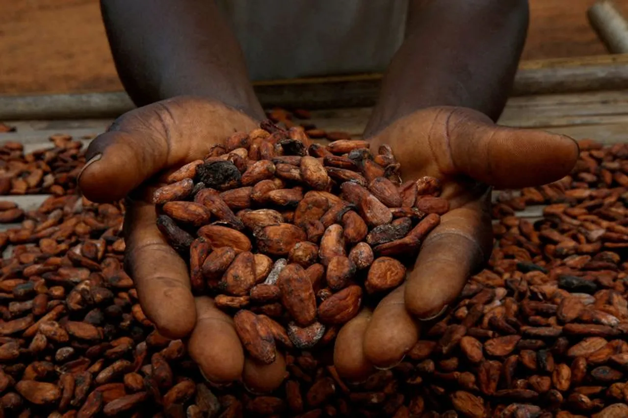 Côte d'Ivoire warns cocoa could cost more because of Trump's tariffs