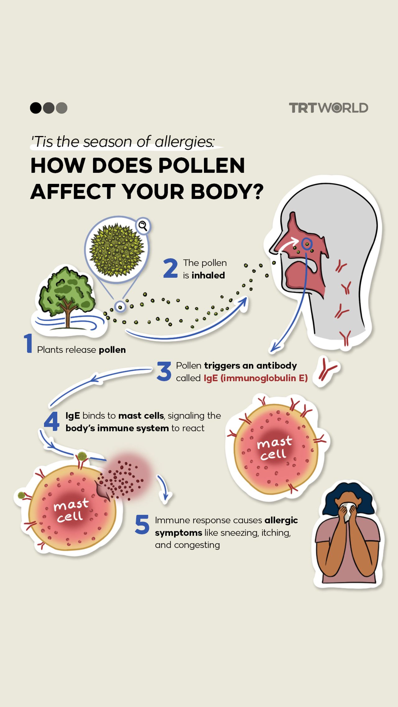 Tis the season of allergies: How does pollen affect your body? - TRT World