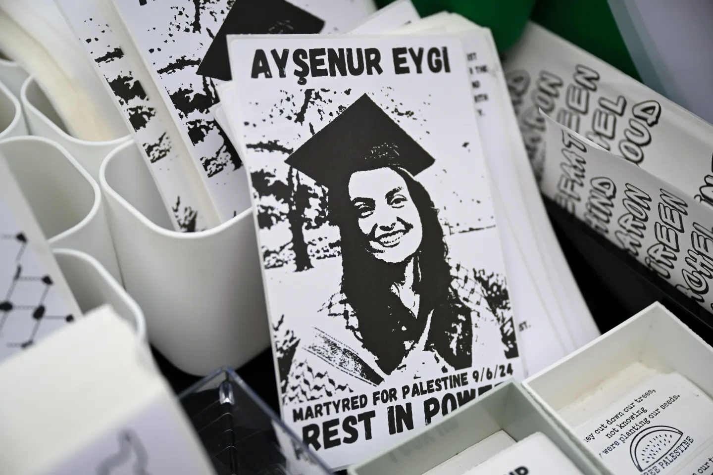 US presses Israel for 'full accountability' in killing of Turkish American activist Aysenur Eygi