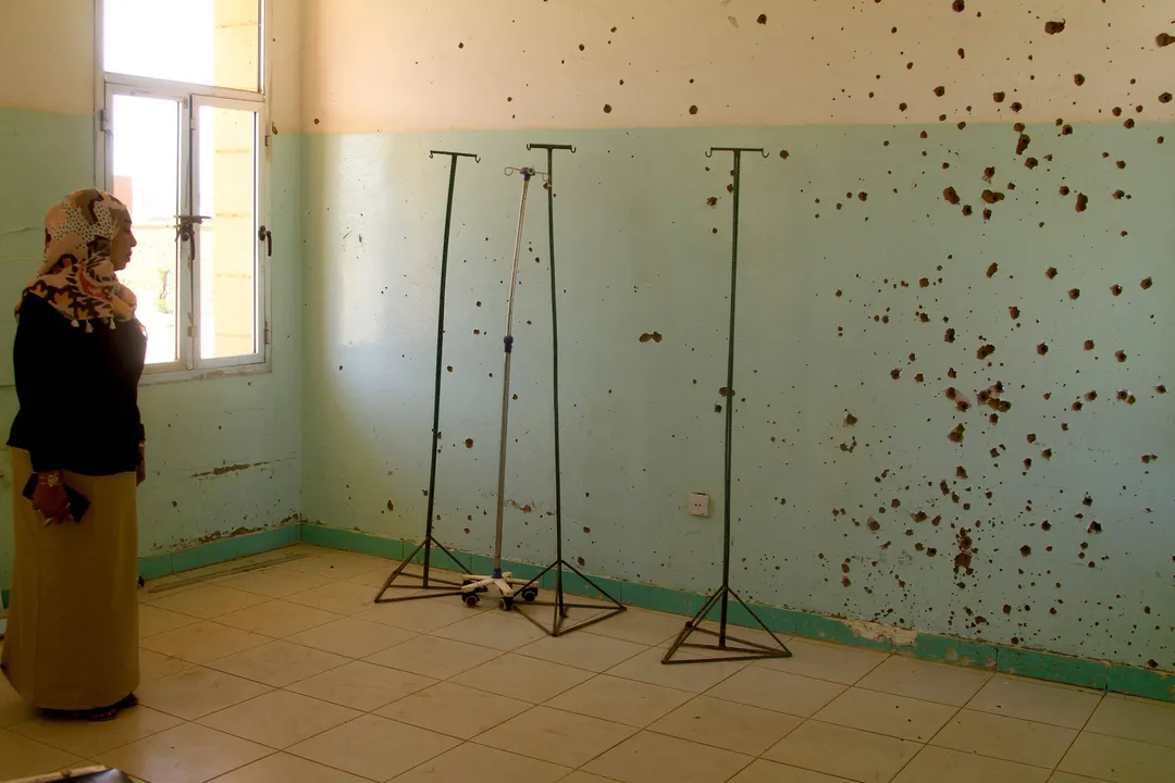 RSF committed crimes against humanity in Sudan's Al Fasher — UN mission